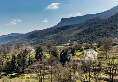 garrotxa