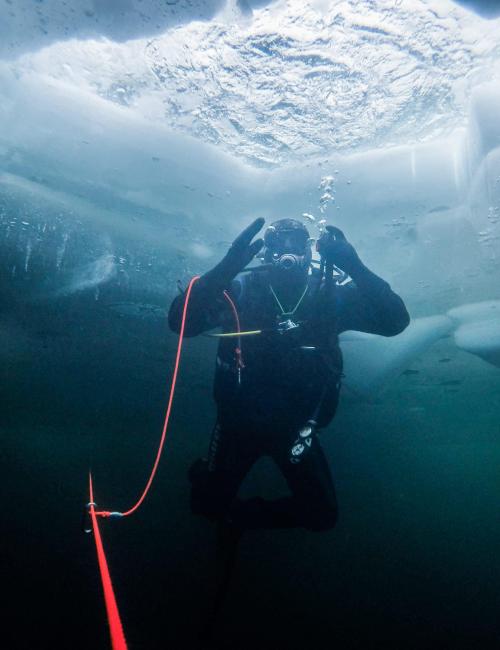 under ice diving