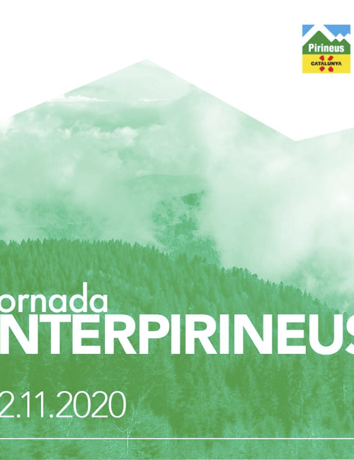 Eixos Estratègics Programa Pirineus