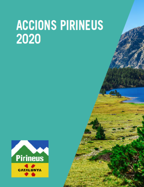 infografia accions 2020 - Programa Pirineus